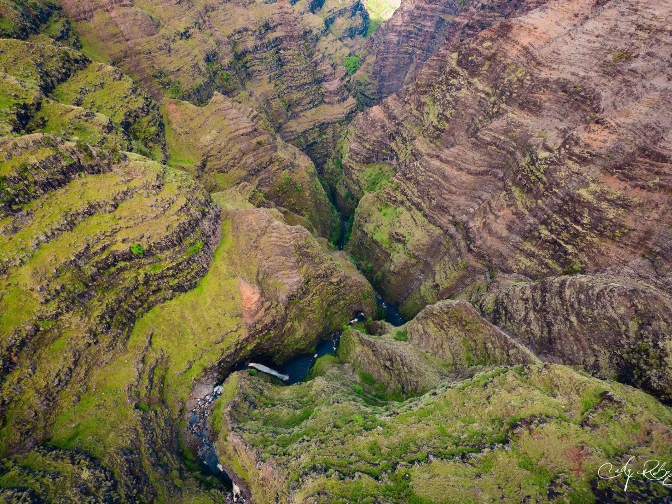 a close up of a lush green hillside