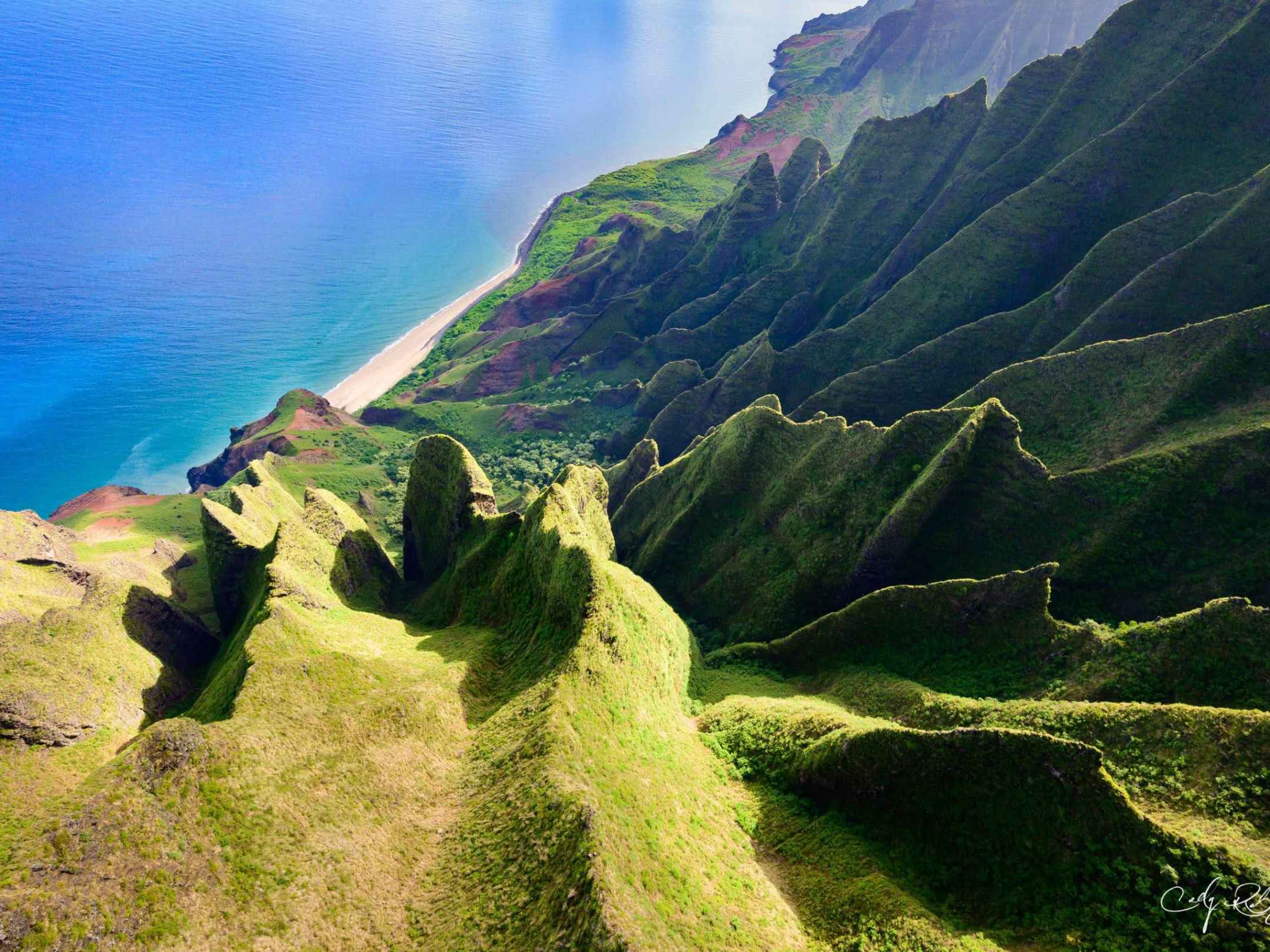a close up of a hillside next to a rock