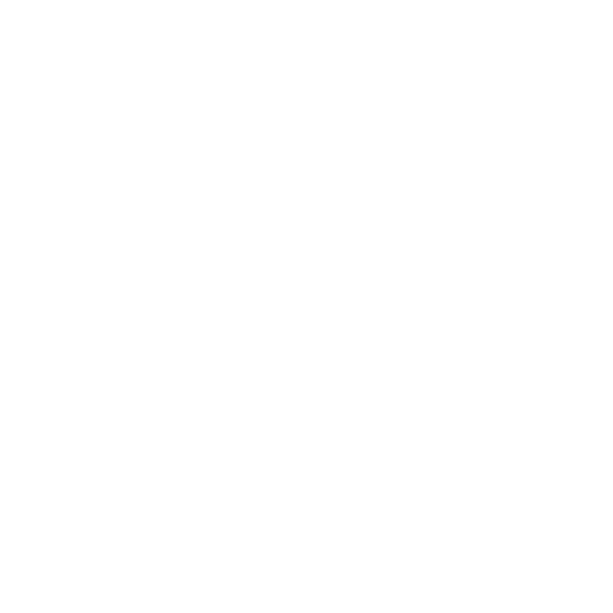 a close up of an animal