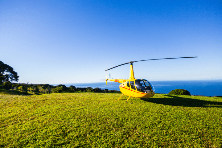 a plane sitting on top of a grass covered field