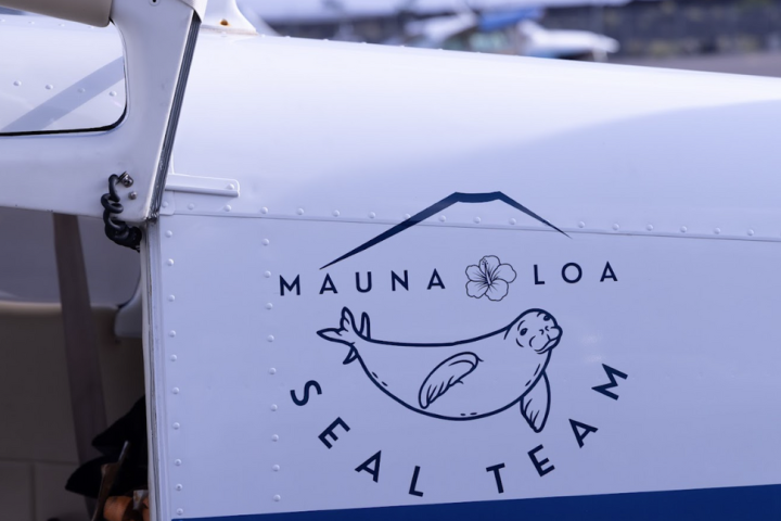 Airplane door with Mauna Loa Seal Team logo, featuring a seal and mountain outline.