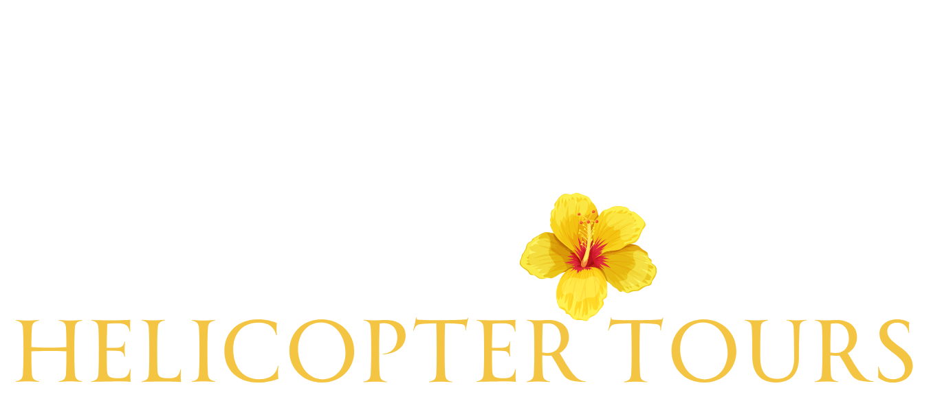 Helicopter Tours logo with yellow flower above text.
